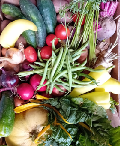 Zeleninová bedýnka střední - cca 6kg